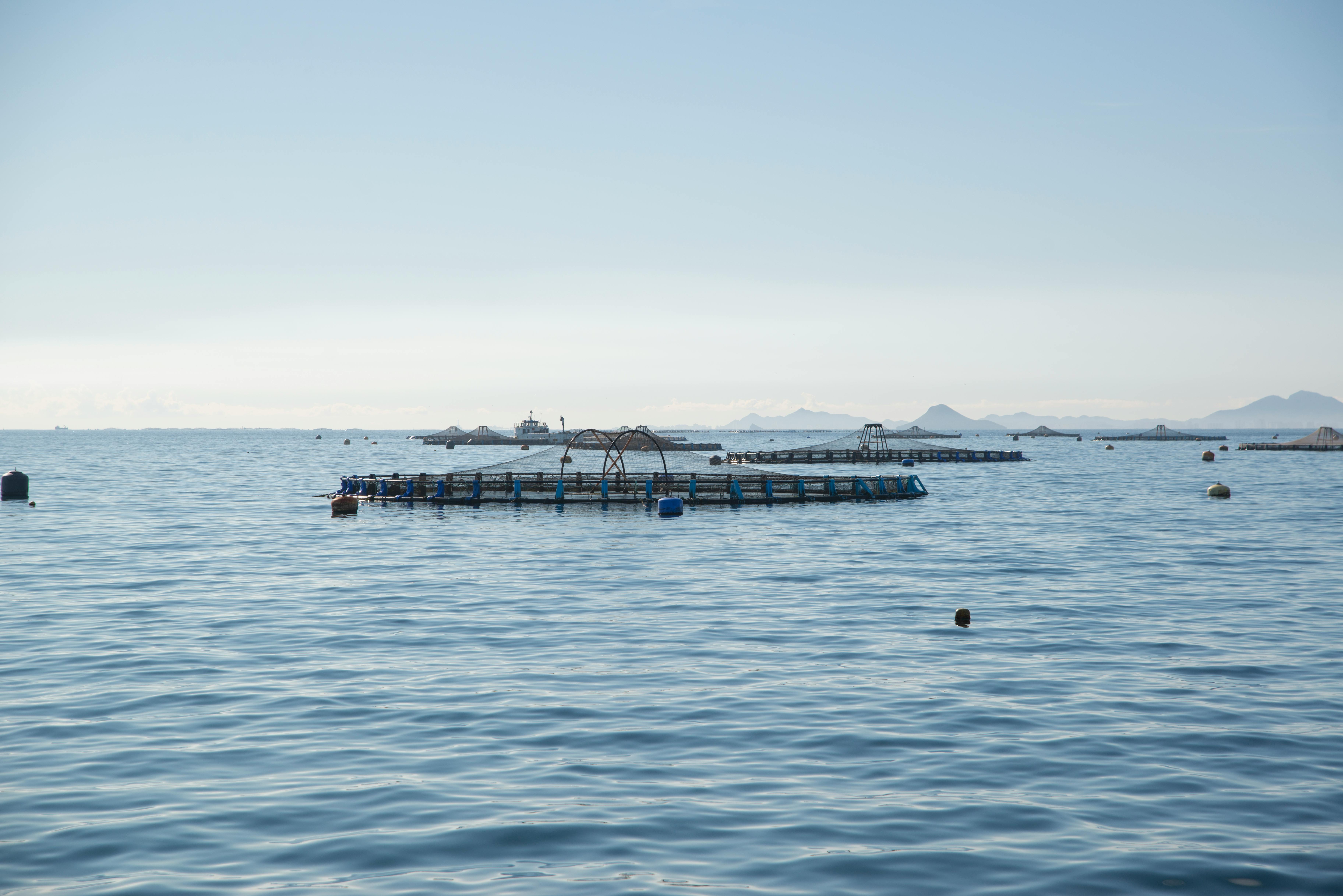 extensive aquaculture - Responsible Seafood Advocate