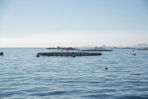Free Tranquil seascape featuring fish cages and buoys in a serene ocean setting. Stock Photo