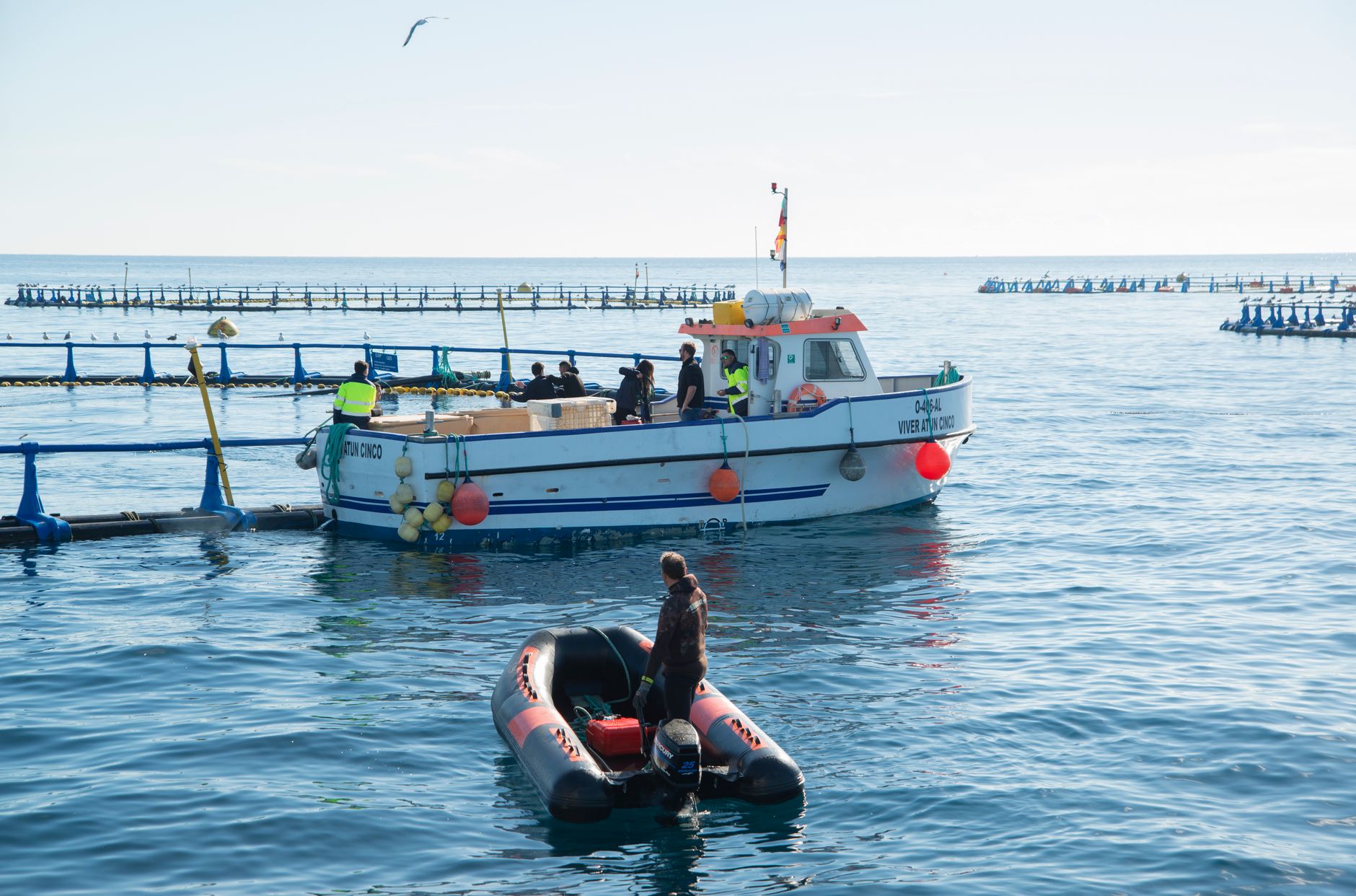 Spain Installs Floating Barrier in Ceuta Amid Border Concerns