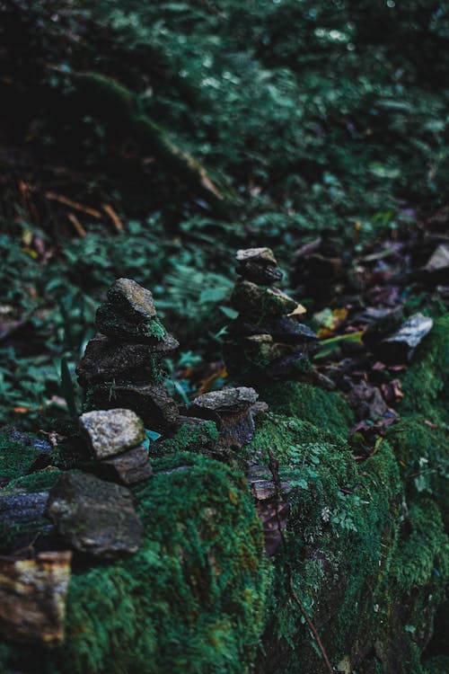 Free Stacked Stones in the Forest Stock Photo