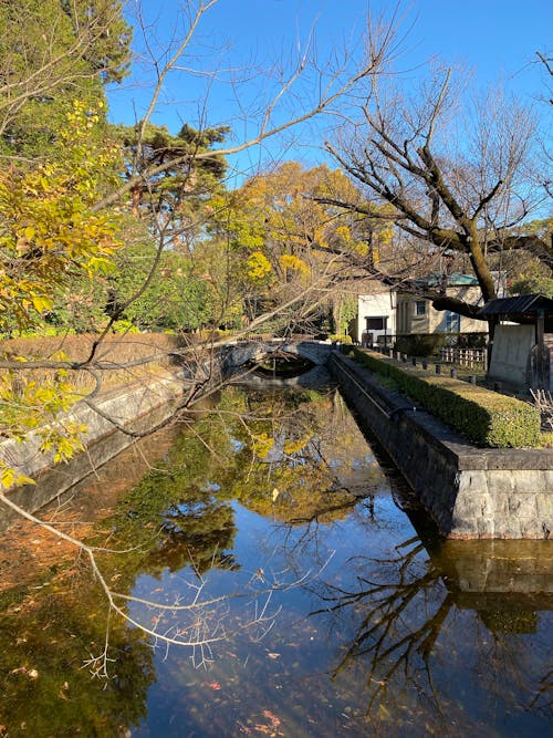 Free stock photo of autumn, park, tokyo