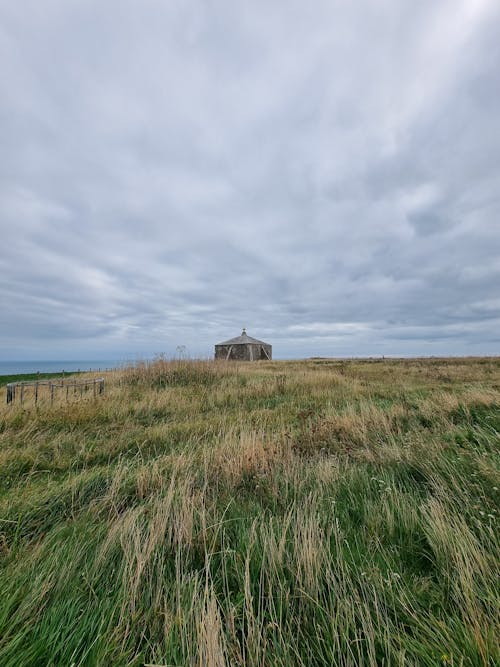 Gratis lagerfoto af græsarealer, græsmark, landdistrikt