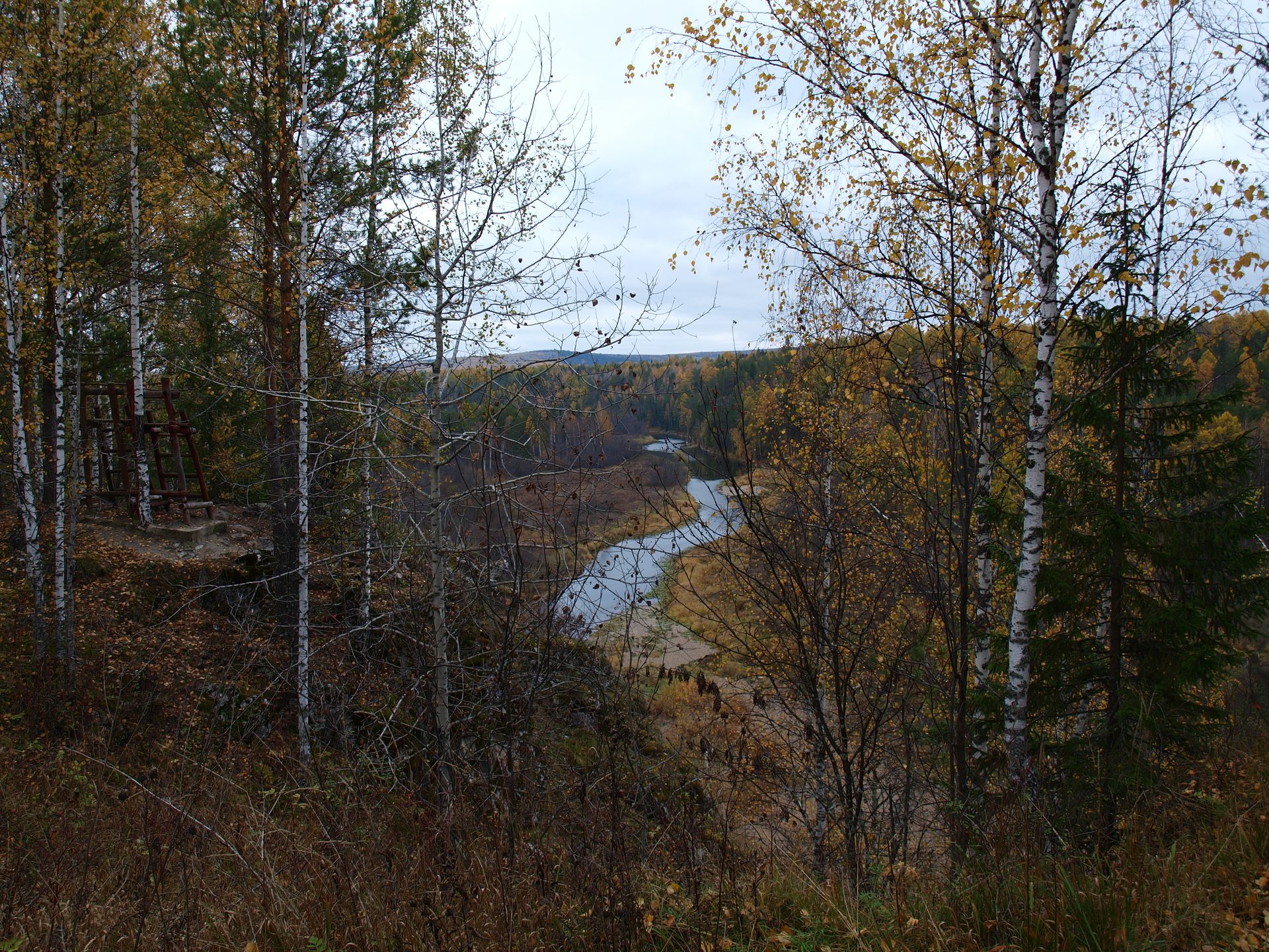 Experience the tranquility of this autumn woodland landscape with a winding river view.