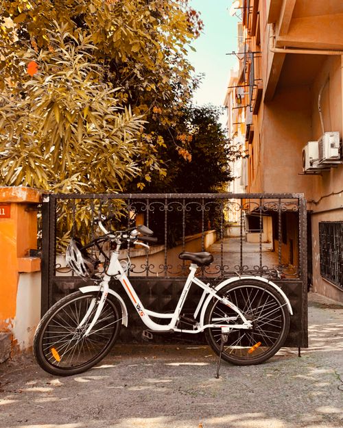 Free A white bicycle parked by a decorative metal gate in an alley with warm sunlight and foliage. Stock Photo