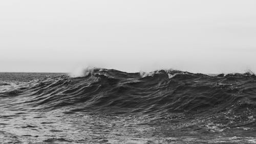 Бесплатное стоковое фото с вода, волны, монохромный