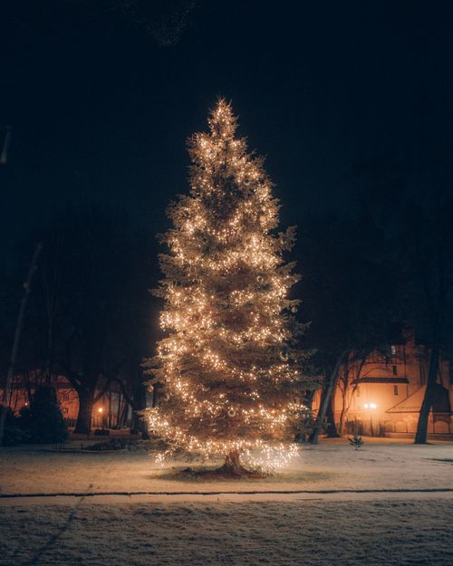 Free A beautifully lit Christmas tree stands amidst a snowy park at night, creating a festive atmosphere. Stock Photo
