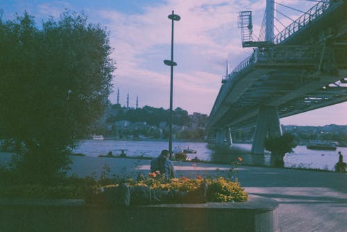 무료 가로등, 강, 꽃의 무료 스톡 사진