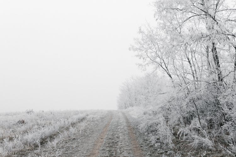 An Unpaved Road During Winter