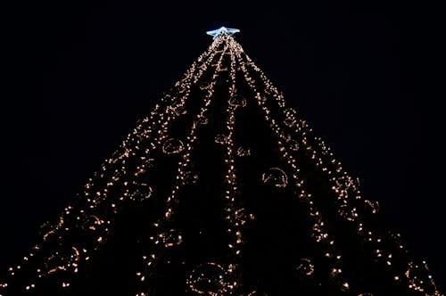 Foto d'estoc gratuïta de adorn nadalenc, Adorns de Nadal, ambient nadalenc