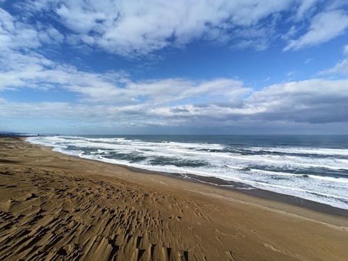 Free stock photo of dune, japan, japanese sea Stock Photo