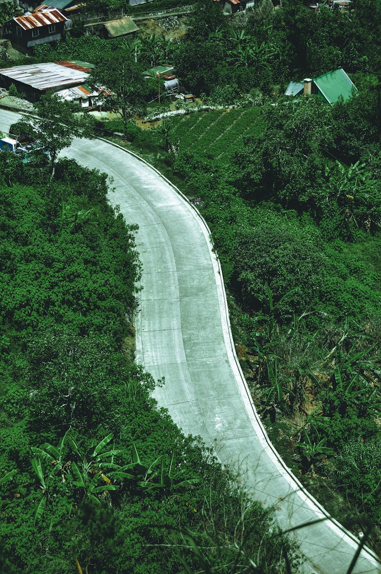 Road In Tropical Green Landscape