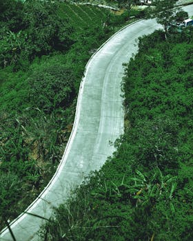 Aerial view of a winding concrete road cutting through lush greenery, showcasing nature's beauty and modern infrastructure.