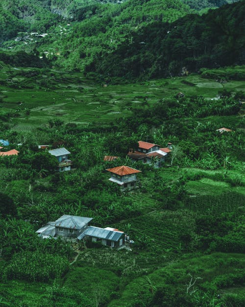 Foto stok gratis bangunan, Desa, gunung