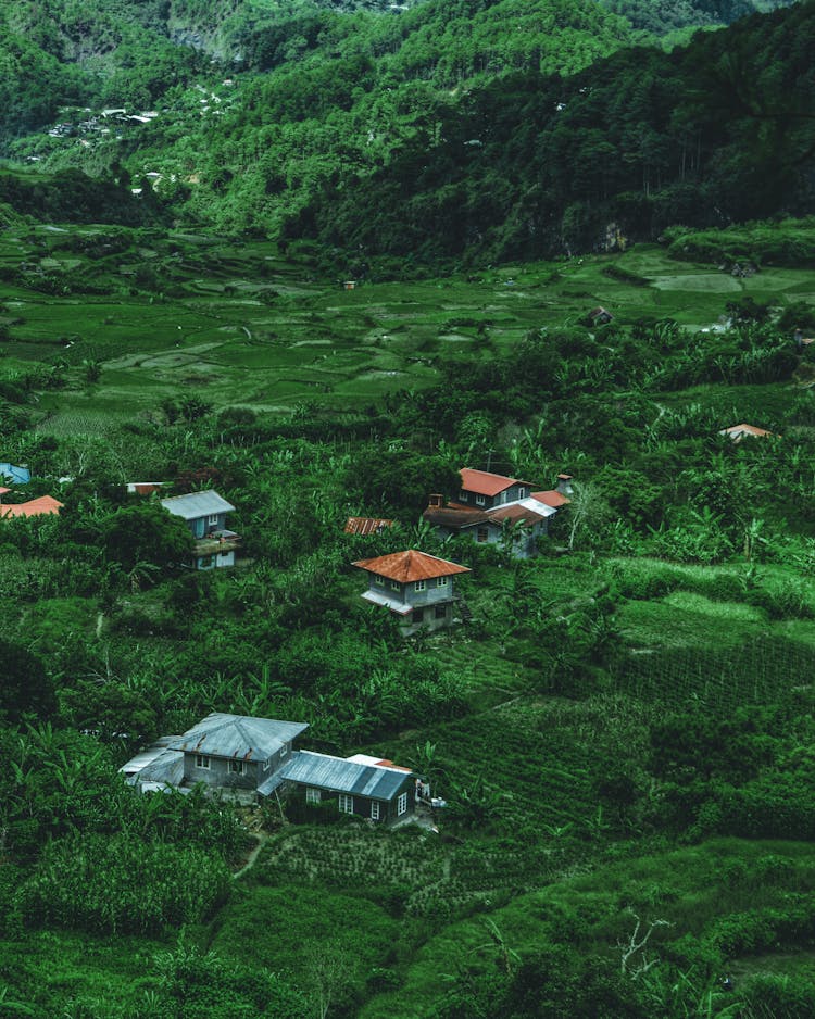 Houses In Green Tropical Mountain Landscape