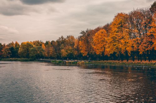Free Tranquil lake surrounded by colorful autumn trees under a cloudy sky. Stock Photo