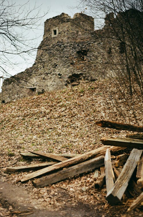 Gratis stockfoto met architectuur, bossen, heel oud