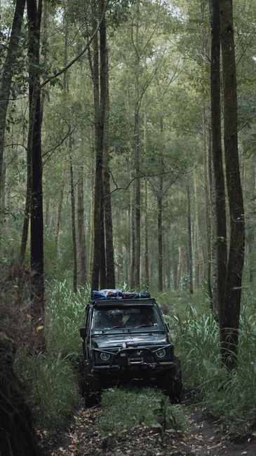 Unveiling the Unexpected: Why Venture Off the Beaten Path? Unveiling the Unexpected: Why Venture Off the Beaten Path?
