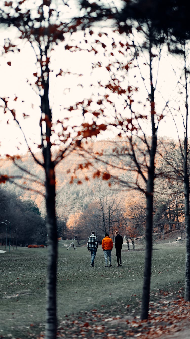 People Hanging Out On The Park