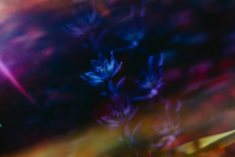 Flowers In An Abstract Art Piece