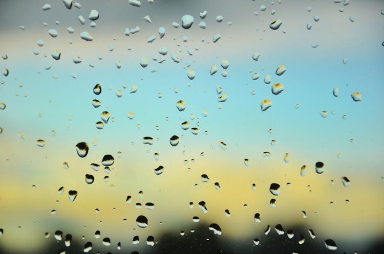 Rain Drops On The Glass