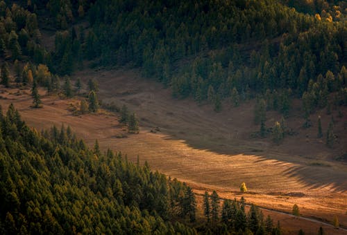 View on Wide Deforested Valley Between Forested Slopes of Mountain