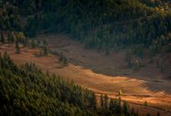 View on Wide Deforested Valley Between Forested Slopes of Mountain