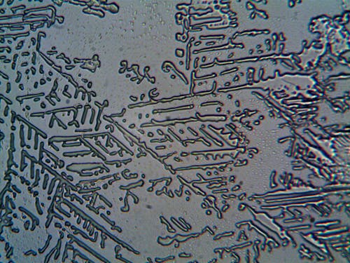 Pattern on a Frosted Window 