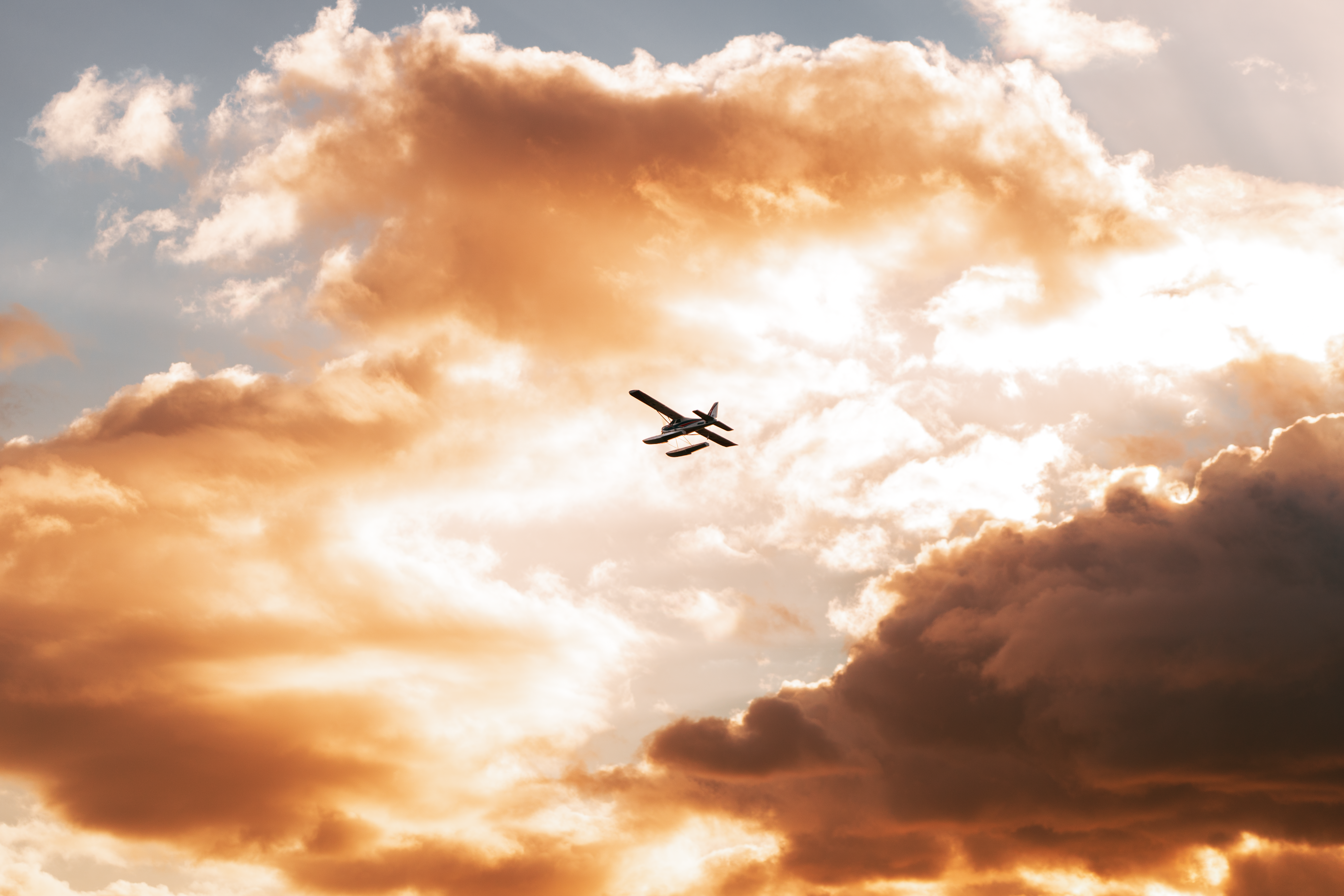 I fly 100,000 miles a year. These are my picks for best airline credit cards — Photo by Toth Photos on Pexels