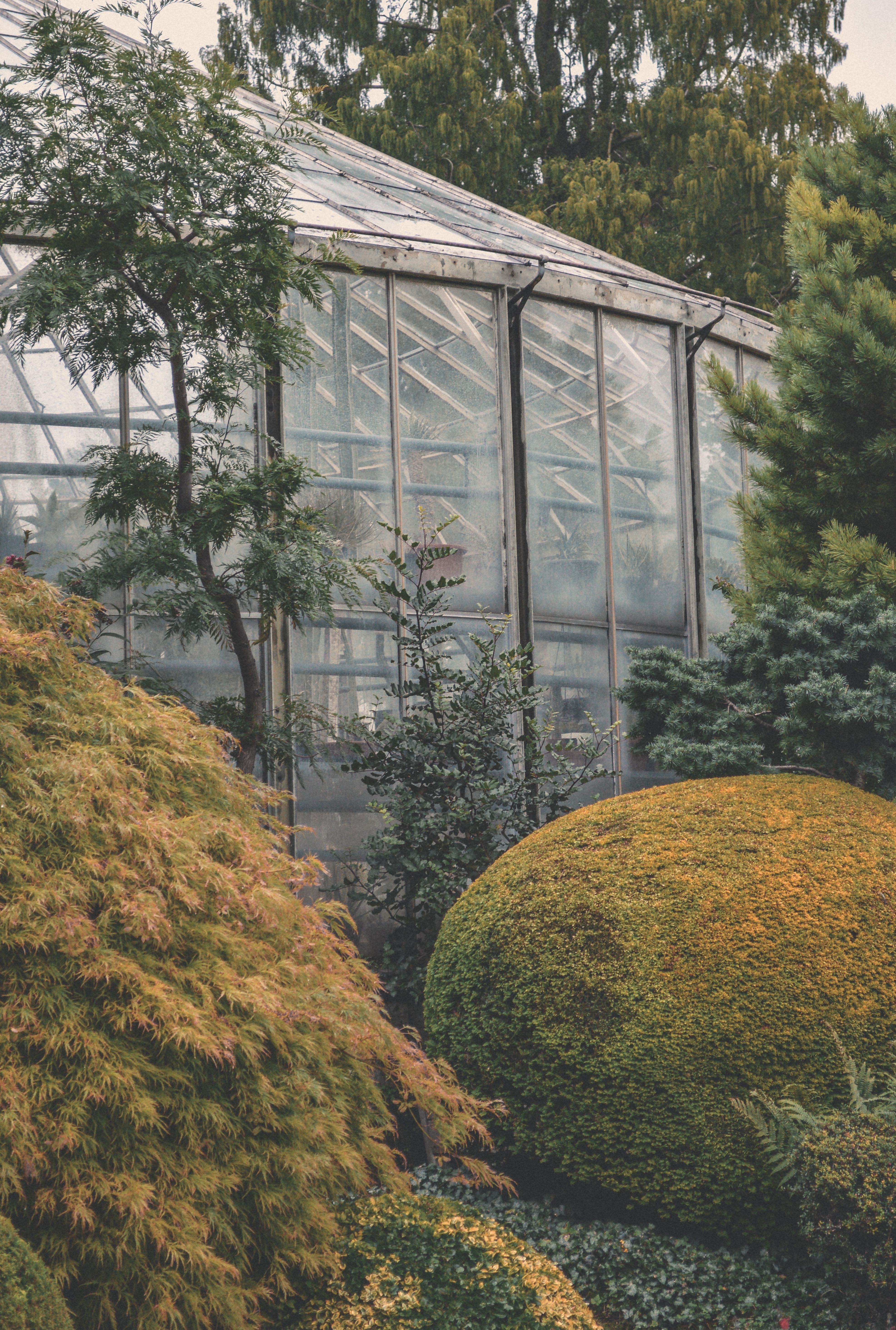 Tranquil autumn scene of a greenhouse surrounded by vibrant foliage, ideal for nature-themed designs.