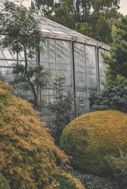 Tranquil autumn scene of a greenhouse surrounded by vibrant foliage, ideal for nature-themed designs.