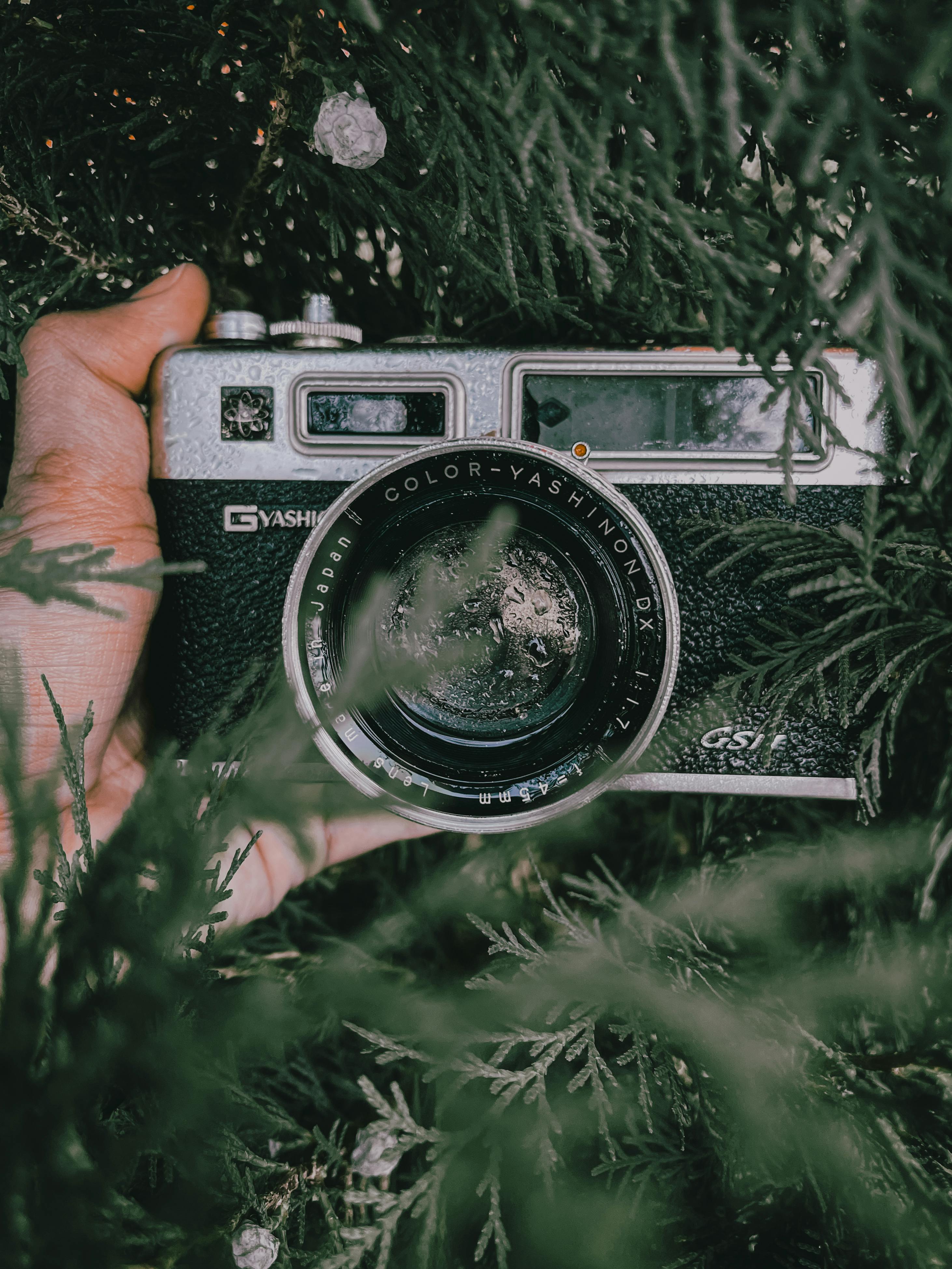 Close-up of a classic vintage camera held amidst green leaves, evoking nostalgia.