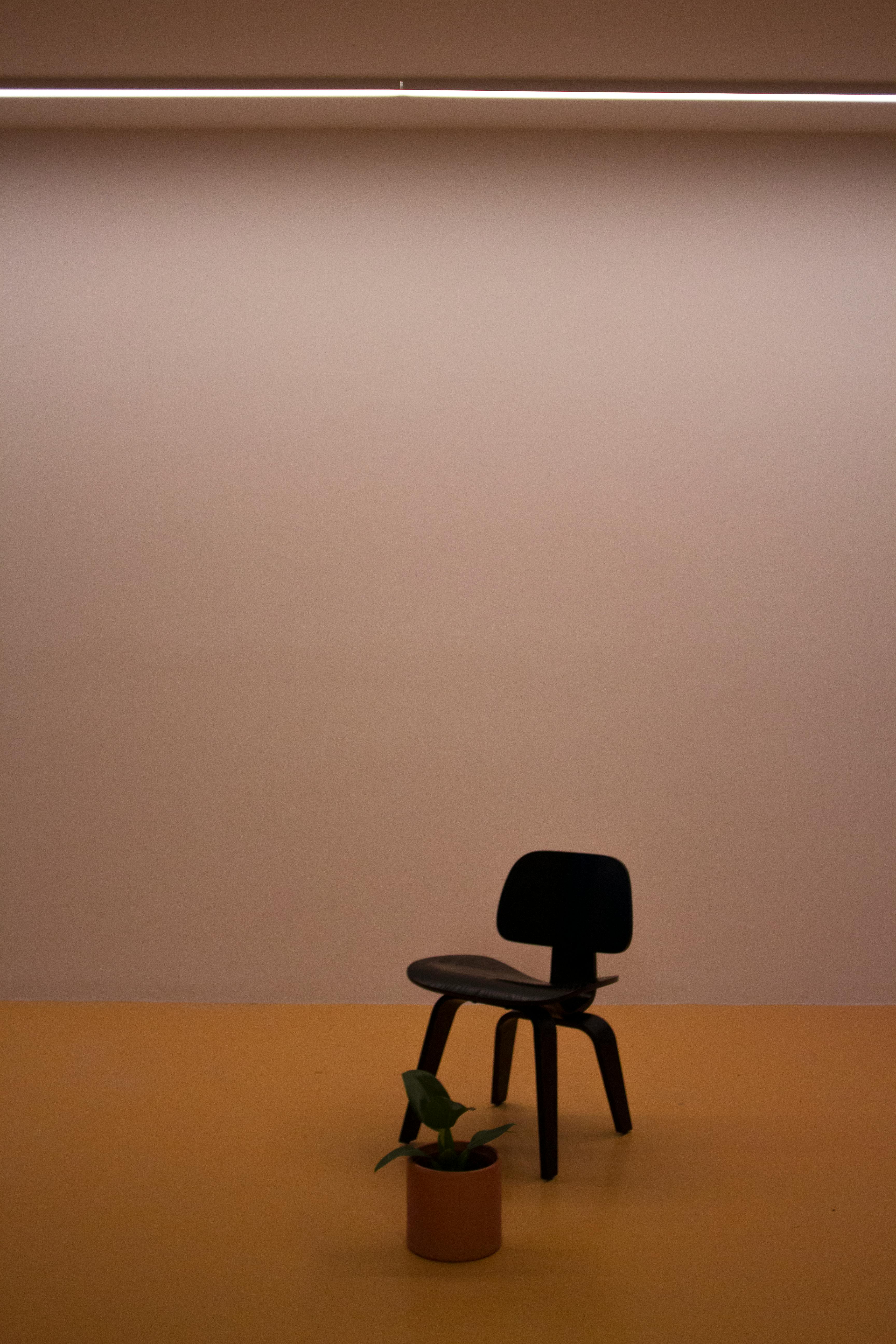A minimalist black chair and potted plant on a yellow surface, creating a modern aesthetic.
