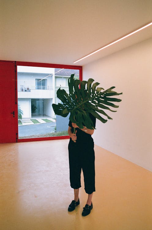 A Woman Holding a Green Monstera Leaves