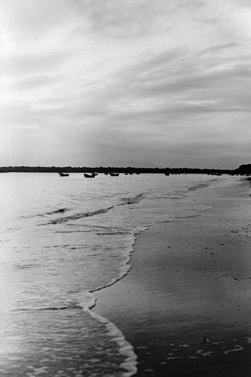 Безкоштовне стокове фото на тему «берег, вертикальні постріл, відтінки сірого»