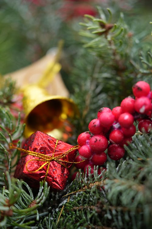 Red Berries and Christmas Ornaments