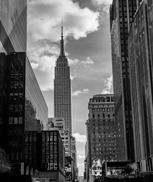 Foto profissional grátis de cidade preto e branco, edifício Empire State, foto da rua