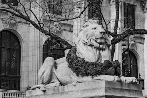 Free Grayscale Photo of a Lion Statue with a Christmas Wreathe  Stock Photo