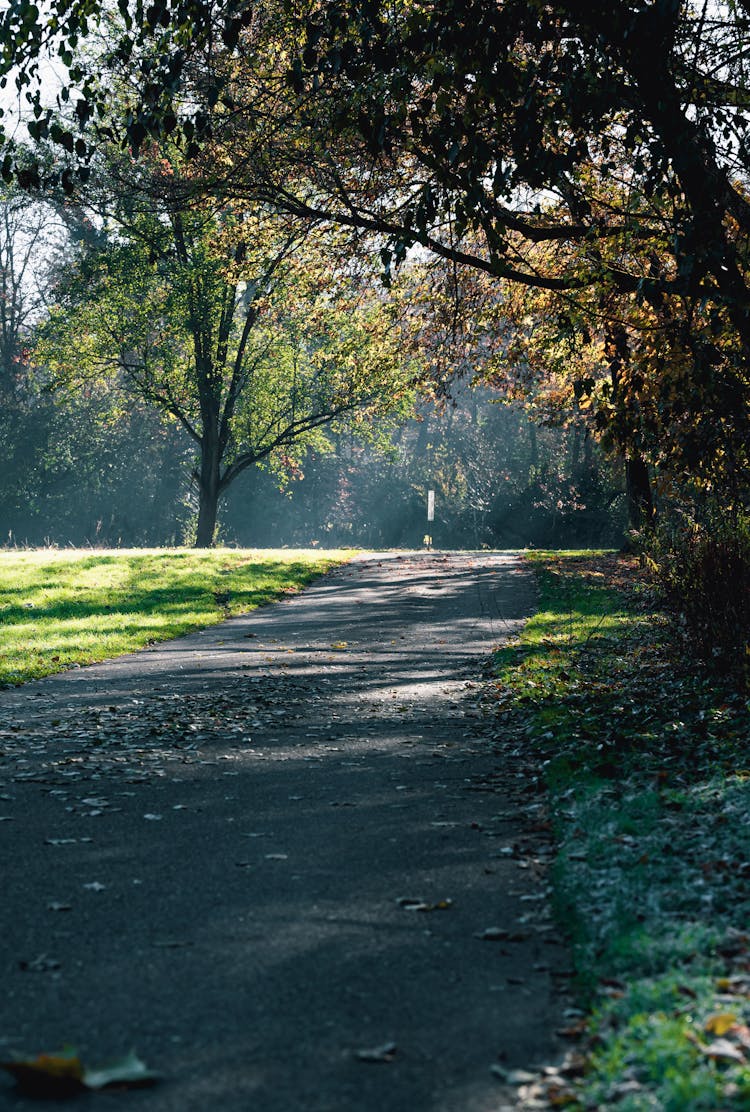 Empty Path In A Park At Autumn 