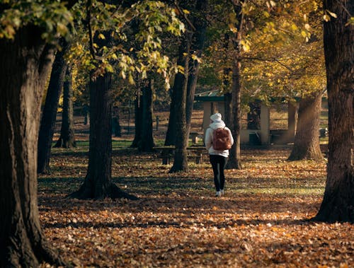 A Woman with a Backpack Walking in the Park