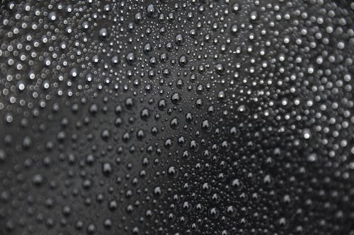 Free stock photo of black, black water, dew drops Stock Photo