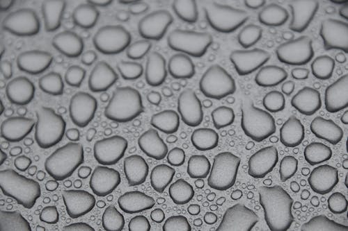 Free stock photo of dew drop, grey water, liquid coloring Stock Photo