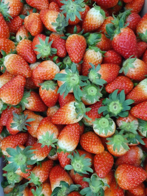 Close Up Photo of Red Strawberries