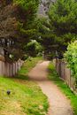 A Sloped Unpaved Pathway