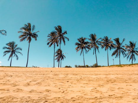 Serene tropical beach with coconut palms under a clear blue sky in Brazil.
