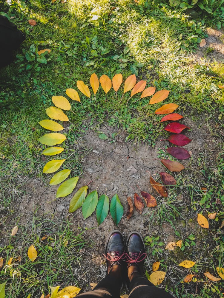 Gathering Fallen Leaves To Form A Circle