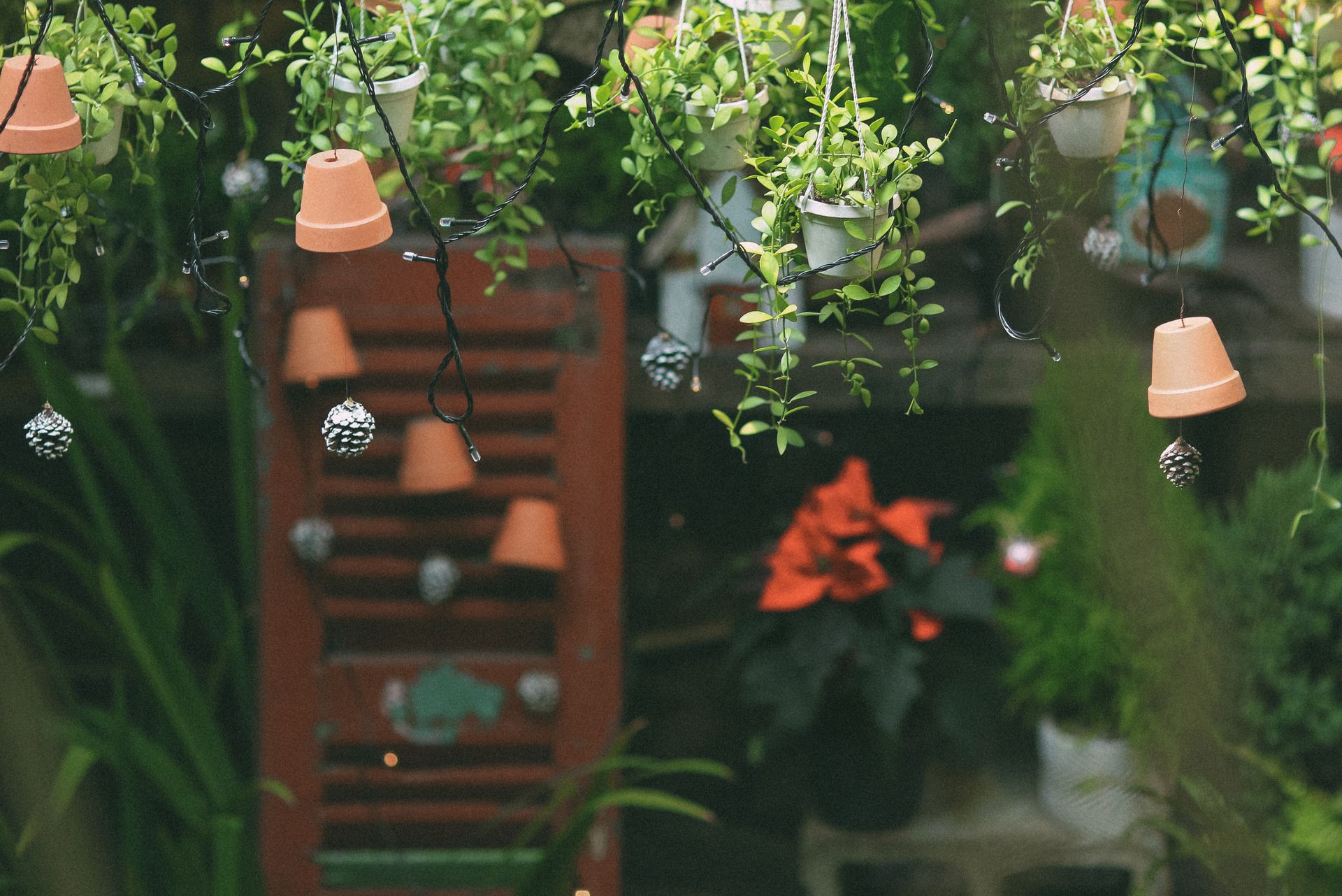 A vibrant garden scene with hanging pots, green foliage, and decorative lights creating a serene outdoor atmosphere.