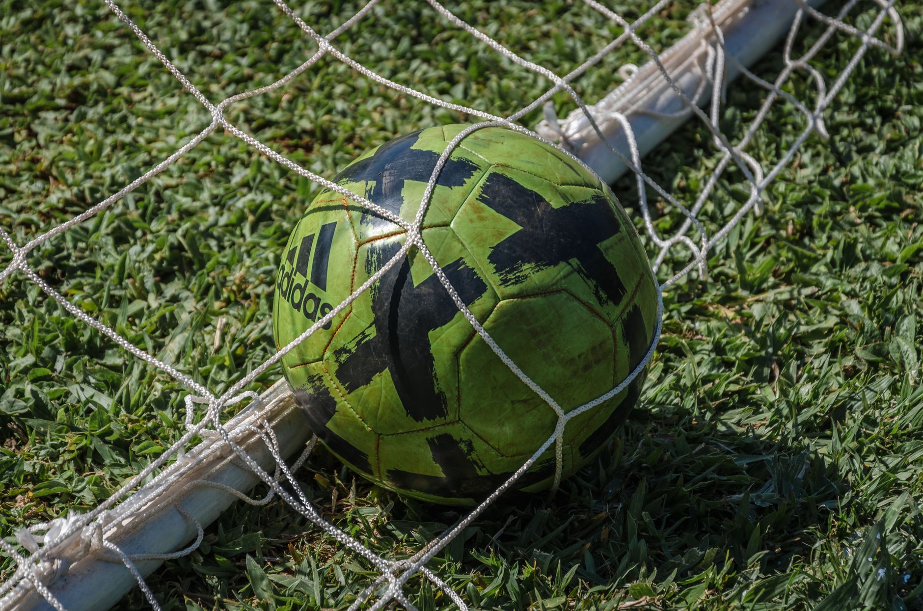 bet365 soccer