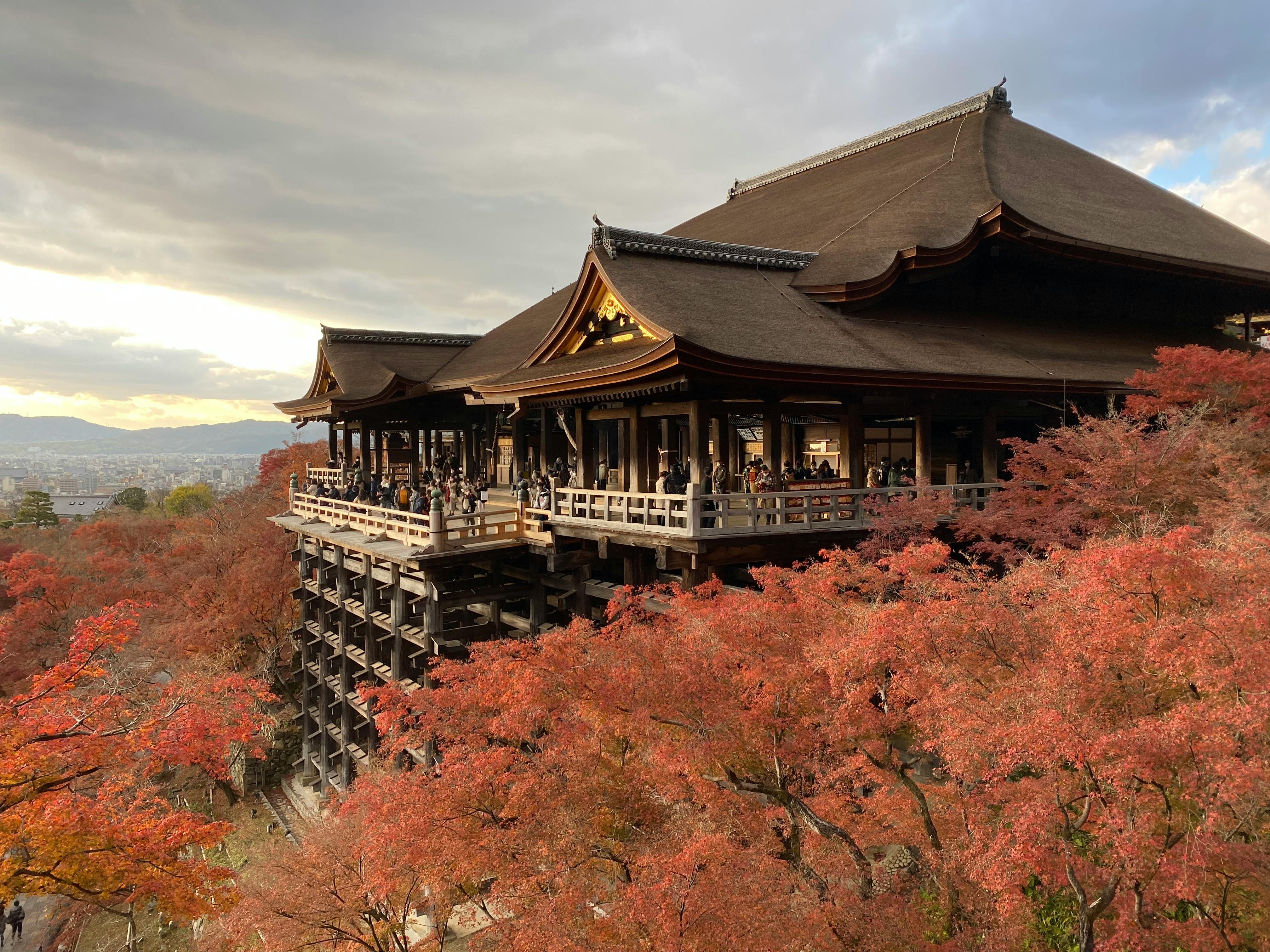 the kiyomizu temple during autumn in kyoto japan