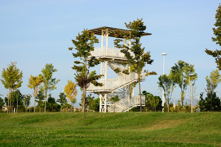 Trees Around A Lookout Tower