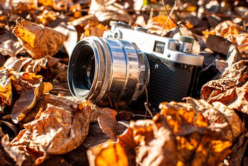Free A vintage camera surrounded by vibrant autumn leaves, capturing the essence of fall. Stock Photo